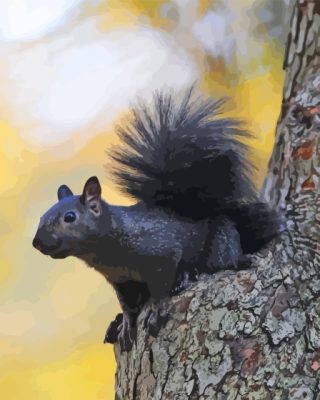 Black Squirrel On Tree Paint By Numbers