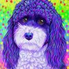 Cute Colorful Poodle Paint By Numbers