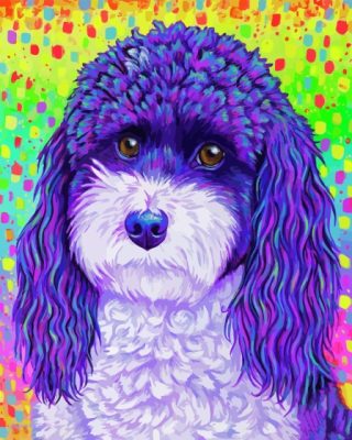 Cute Colorful Poodle Paint By Numbers