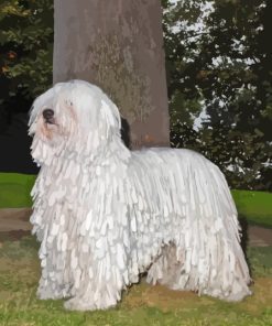 Cute Komondor Dog Paint By Numbers