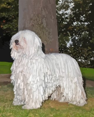 Cute Komondor Dog Paint By Numbers