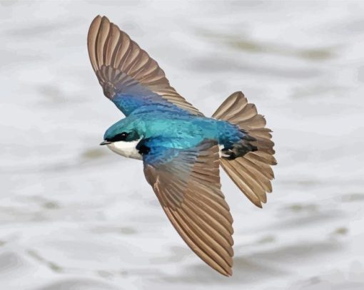 Flying Tree Swallow Paint By Numbers