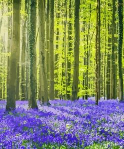 Forest Bluebell Meadow Paint By Numbers