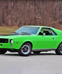 Green 1969 Amc Amx Car Paint By Numbers