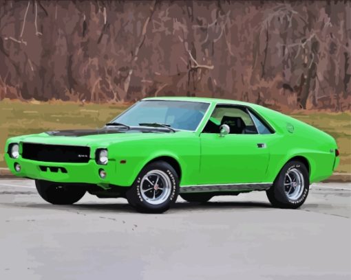 Green 1969 Amc Amx Car Paint By Numbers