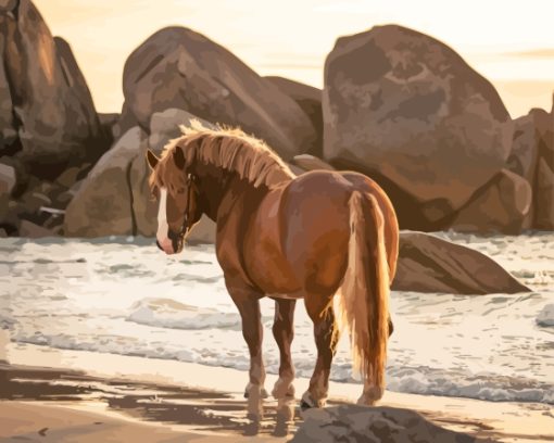 Horse Beach Paint By Numbers