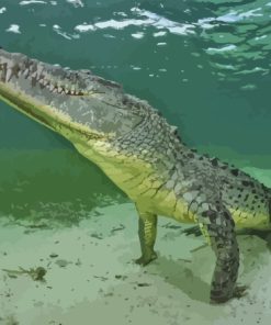 Underwater American Crocodile Paint By Numbers