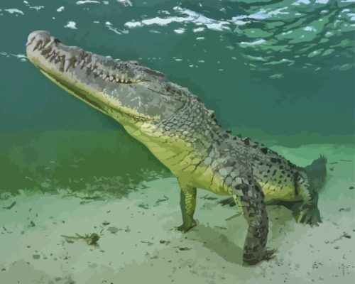 Underwater American Crocodile Paint By Numbers