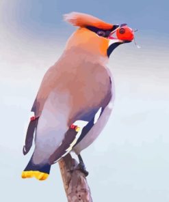 Waxwing Bird Eating Fruit Paint By Numbers