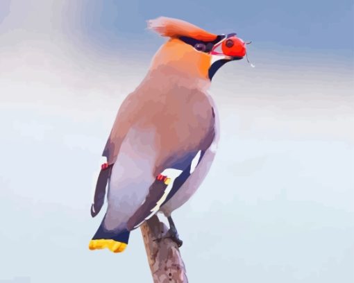 Waxwing Bird Eating Fruit Paint By Numbers