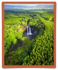 Nature